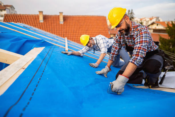 Best Storm Damage Roof Repair  in West Newton, PA